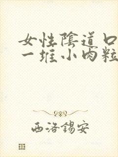 女性阴道口起了一堆小肉粒