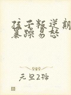 孩子叛逆期脾气暴躁易怒