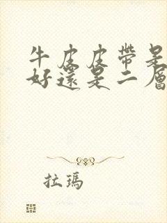 牛皮皮带是头层好还是二层好