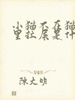 小猫不在猫砂盆里拉屎是什么原因