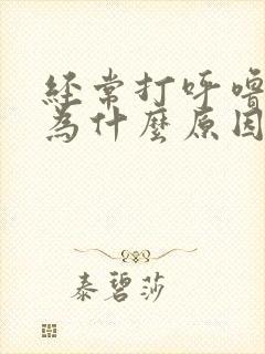 经常打呼噜是因为什么原因