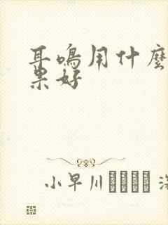 耳鸣用什么药效果好