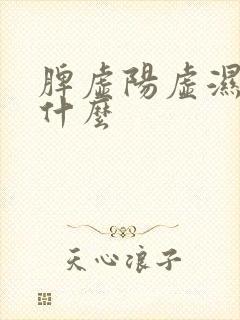 脾虚阳虚湿盛吃什么