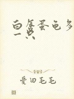 白唇蛋龟多少钱一只