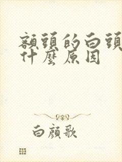 额头的白头发是什么原因