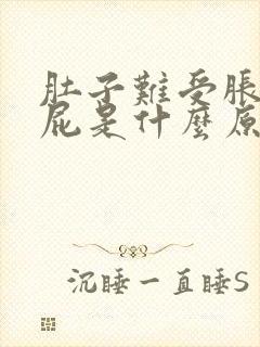 肚子难受胀气放屁是什么原因