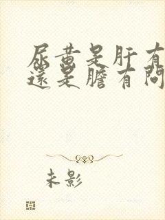 尿黄是肝有问题还是胆有问题