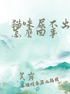 猫咪尿不出尿是怎么回事