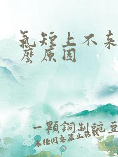 气短上不来气什么原因