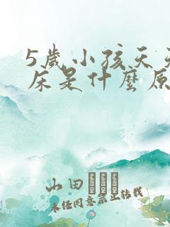 5岁小孩天天尿床是什么原因