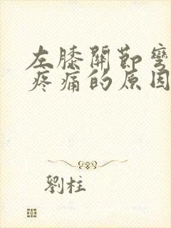 左膝关节弯曲时疼痛的原因