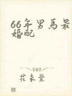 66年男马最佳婚配