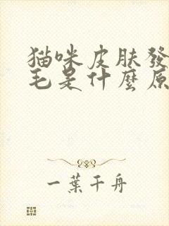 猫咪皮肤发红掉毛是什么原因