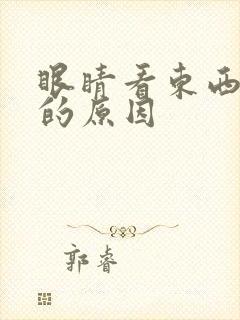 眼睛看东西模糊的原因