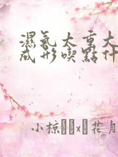 湿气太重大便不成形吃点什么药