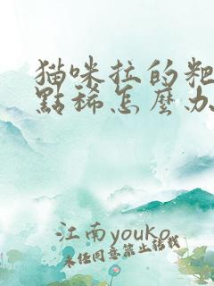 猫咪拉的粑粑有点稀怎么办