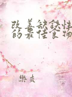 改善缺铁性贫血的最佳食物