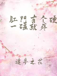 肛门有个硬疙瘩一碰就疼