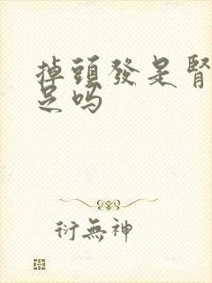 掉头发是肾气不足吗