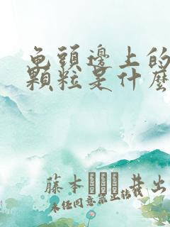 龟头边上的白色颗粒是什么