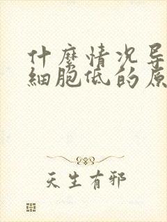 什么情况导致白细胞低的原因