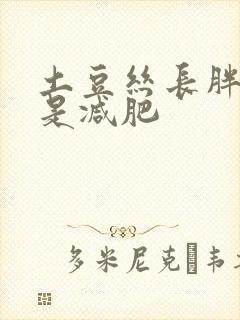 土豆丝长胖吗还是减肥