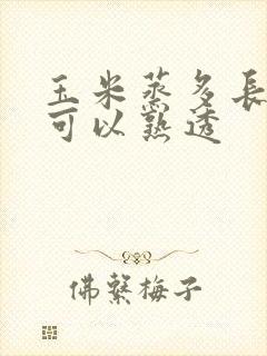 玉米蒸多长时间可以熟透