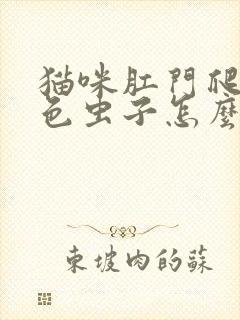 猫咪肛门爬出白色虫子怎么办