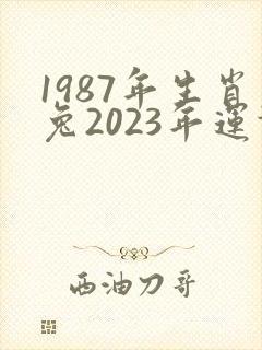 1987年生肖兔2023年运势及运程