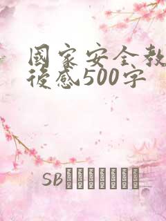 国家安全教育观后感500字