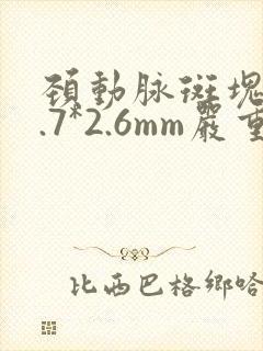 颈动脉斑块16.7*2.6mm严重吗