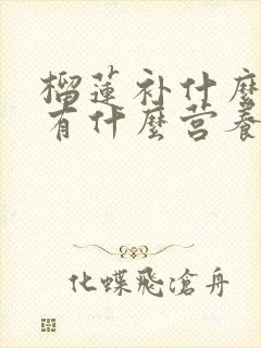 榴莲补什么榴莲有什么营养