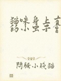 猫咪身上有黑色的小虫子会爬