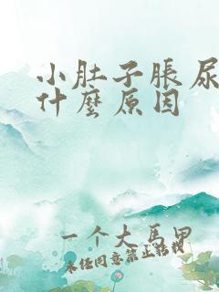 小肚子胀尿多是什么原因