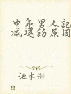 中年男人记忆力减退的原因和改善方法