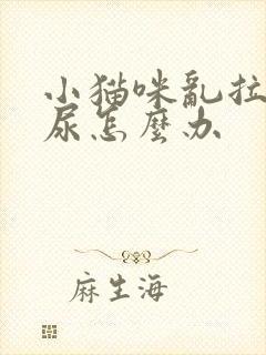 小猫咪乱拉屎拉尿怎么办