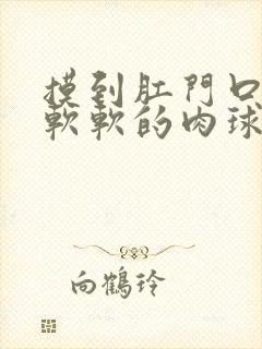 摸到肛门口有个软软的肉球