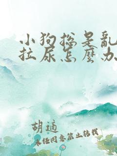 小狗总是乱拉屎拉尿怎么办