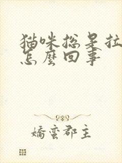 猫咪总是拉软便怎么回事