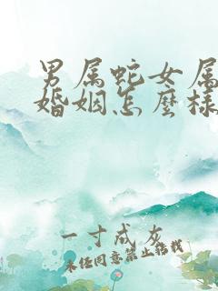 男属蛇女属蛇的婚姻怎么样