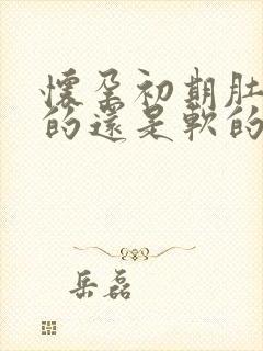 怀孕初期肚子硬的还是软的