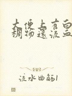 大便上有白色粘稠物还流血