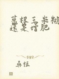 葛根玉米糊减肥还是增肥