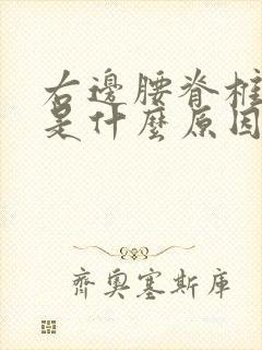 右边腰脊椎酸疼是什么原因