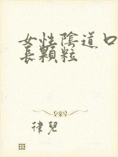 女性阴道口旁边长颗粒