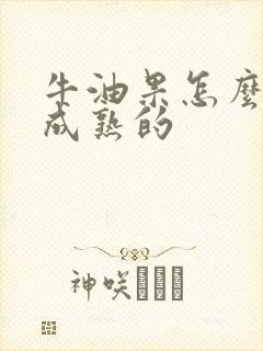 牛油果怎么样是成熟的