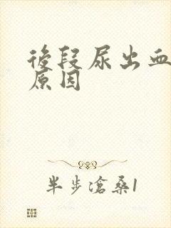 后段尿出血什么原因