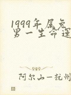 1999年属兔男一生命运如何