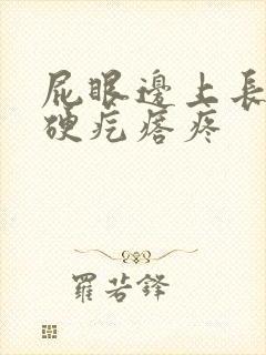 屁眼边上长一个硬疙瘩疼