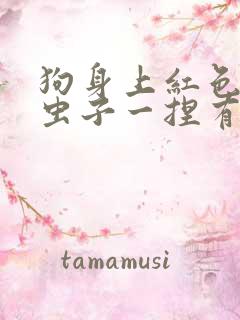 狗身上红色的小虫子一捏有血